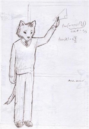Mr. Wolf 
